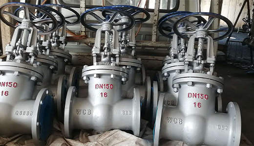 WCB Gate Valve Supplier